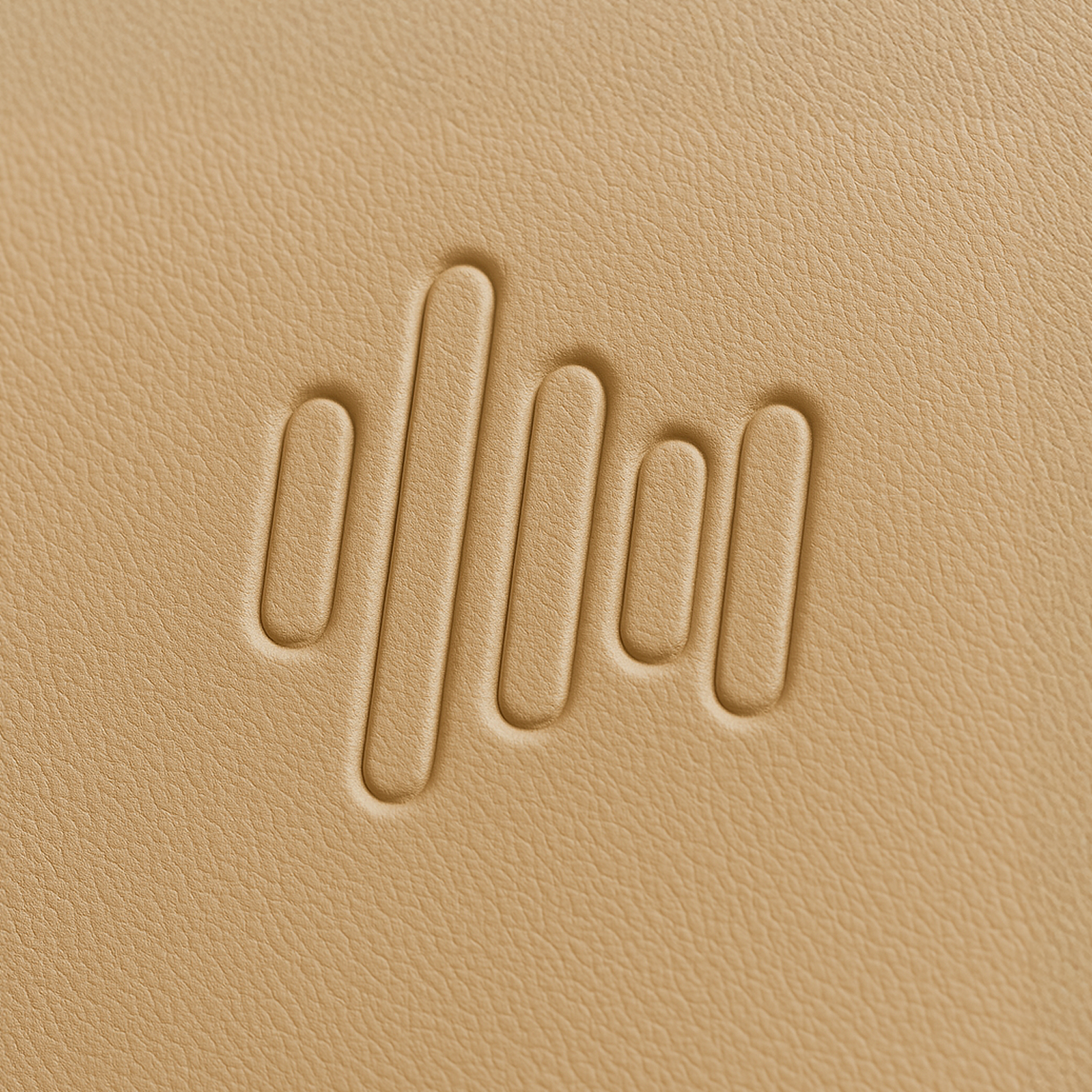 headphone details